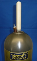 Dual antenna on profiling float